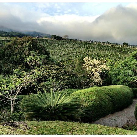 شقة Coffee Garden Ranch Costa Rica Concepcion  المظهر الخارجي الصورة