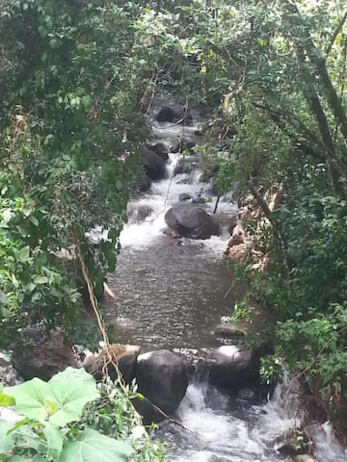 شقة Coffee Garden Ranch Costa Rica Concepcion  المظهر الخارجي الصورة