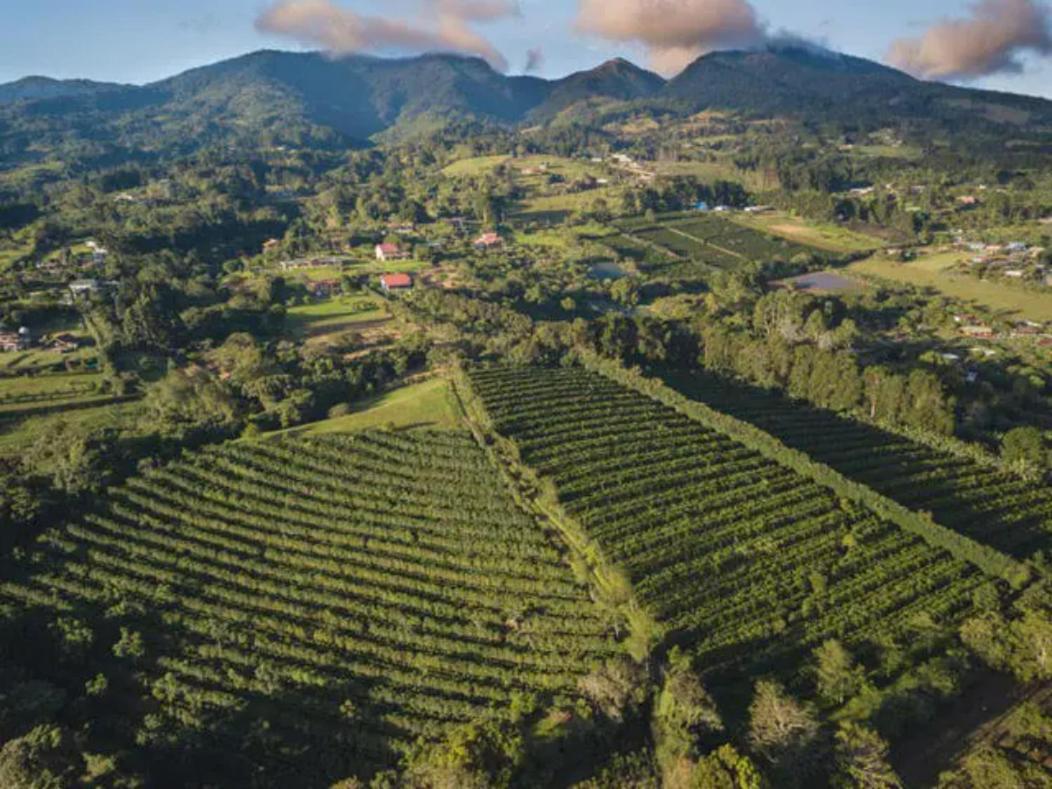 شقة Coffee Garden Ranch Costa Rica Concepcion  المظهر الخارجي الصورة