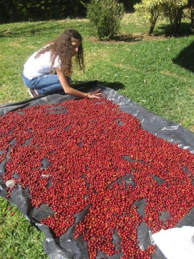 شقة Coffee Garden Ranch Costa Rica Concepcion  المظهر الخارجي الصورة