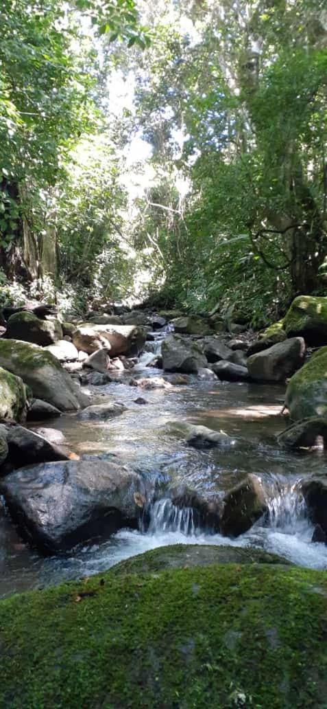 شقة Coffee Garden Ranch Costa Rica Concepcion  المظهر الخارجي الصورة
