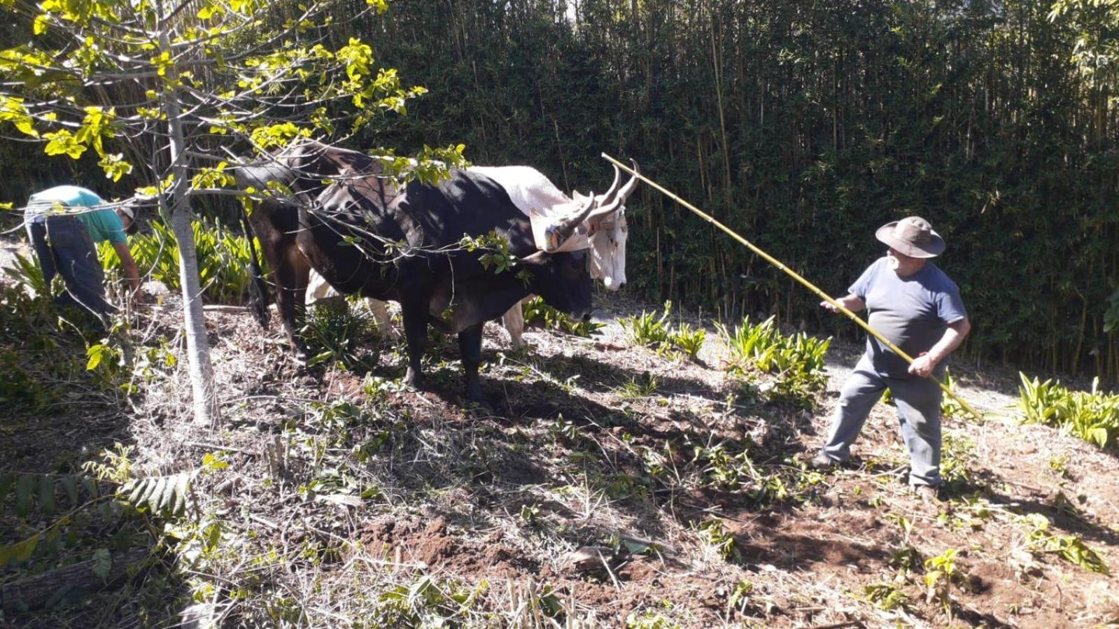 شقة Coffee Garden Ranch Costa Rica Concepcion  المظهر الخارجي الصورة