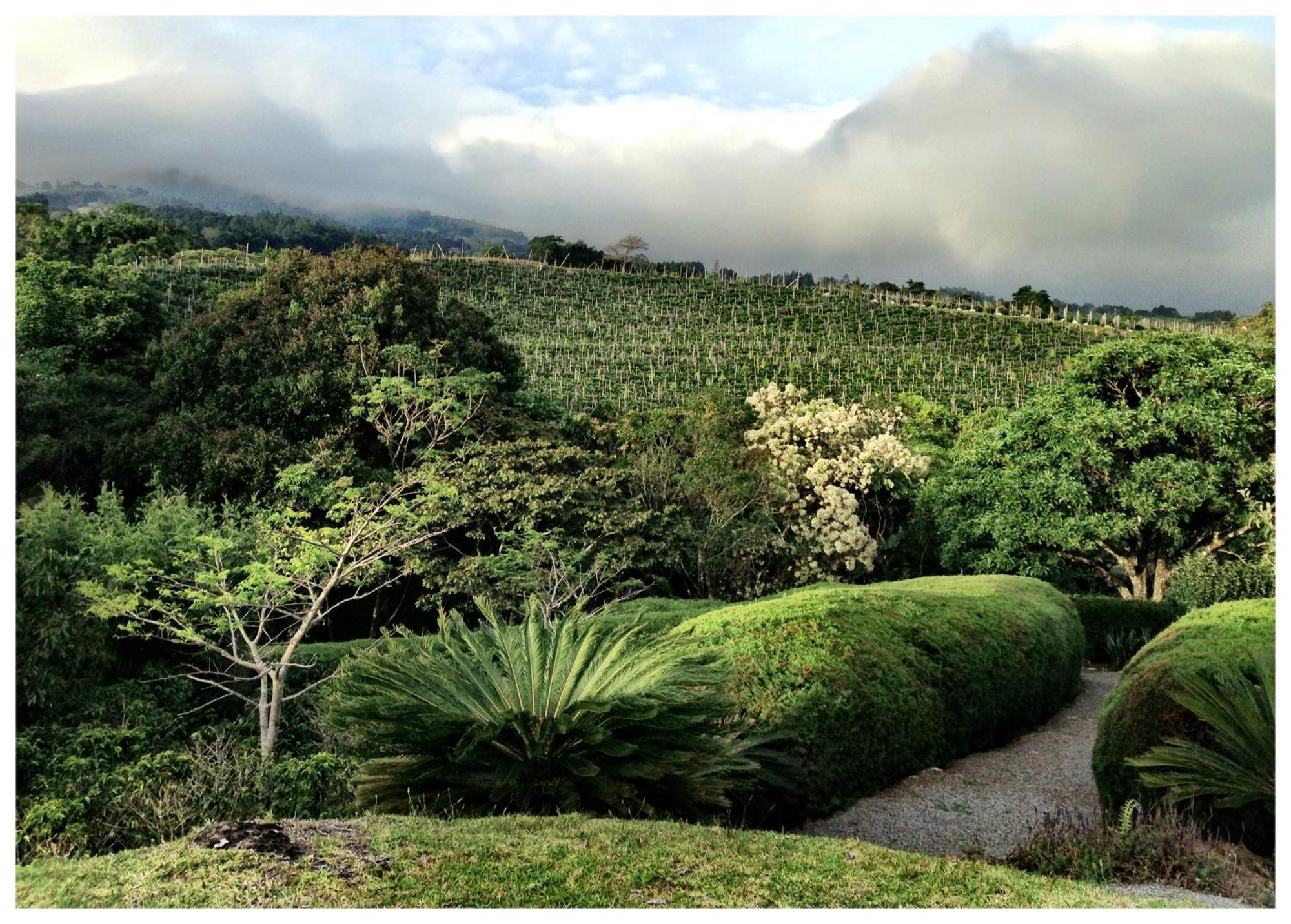 شقة Coffee Garden Ranch Costa Rica Concepcion  المظهر الخارجي الصورة